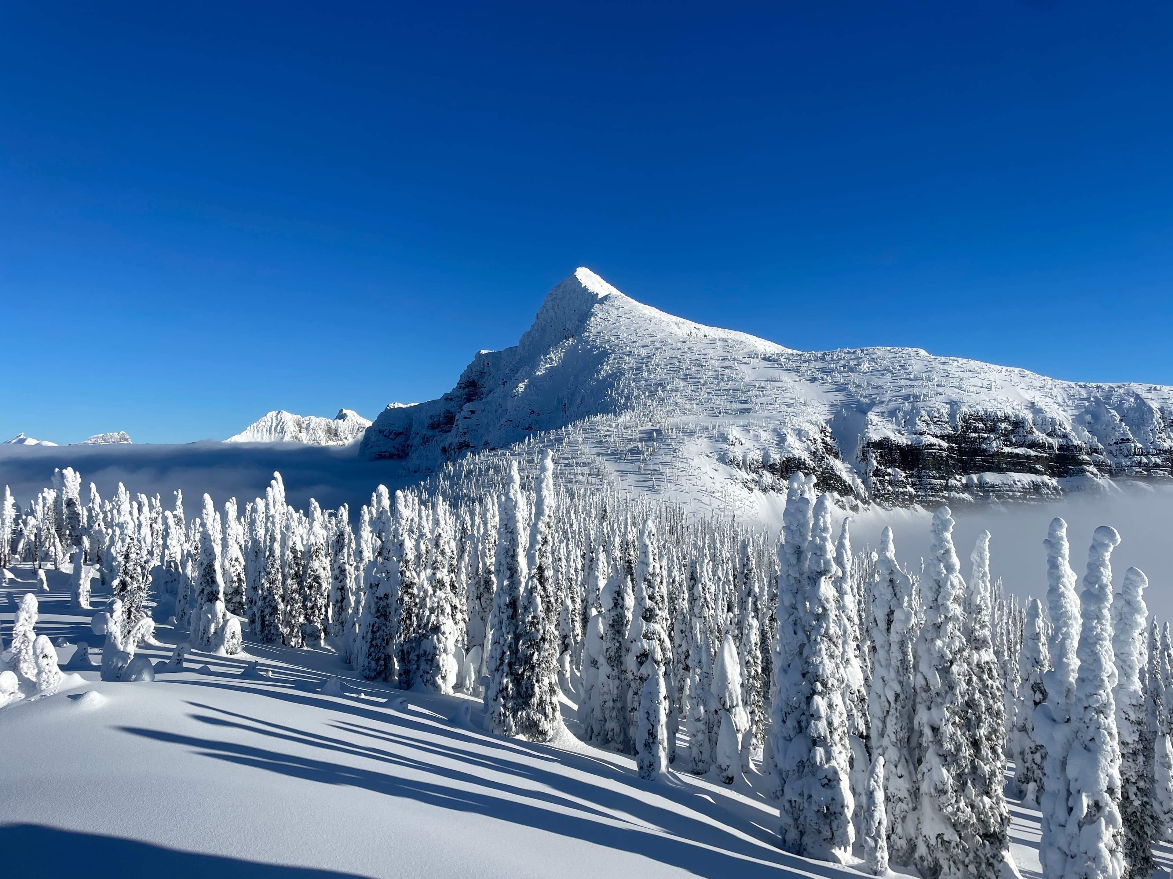 Mount Brown