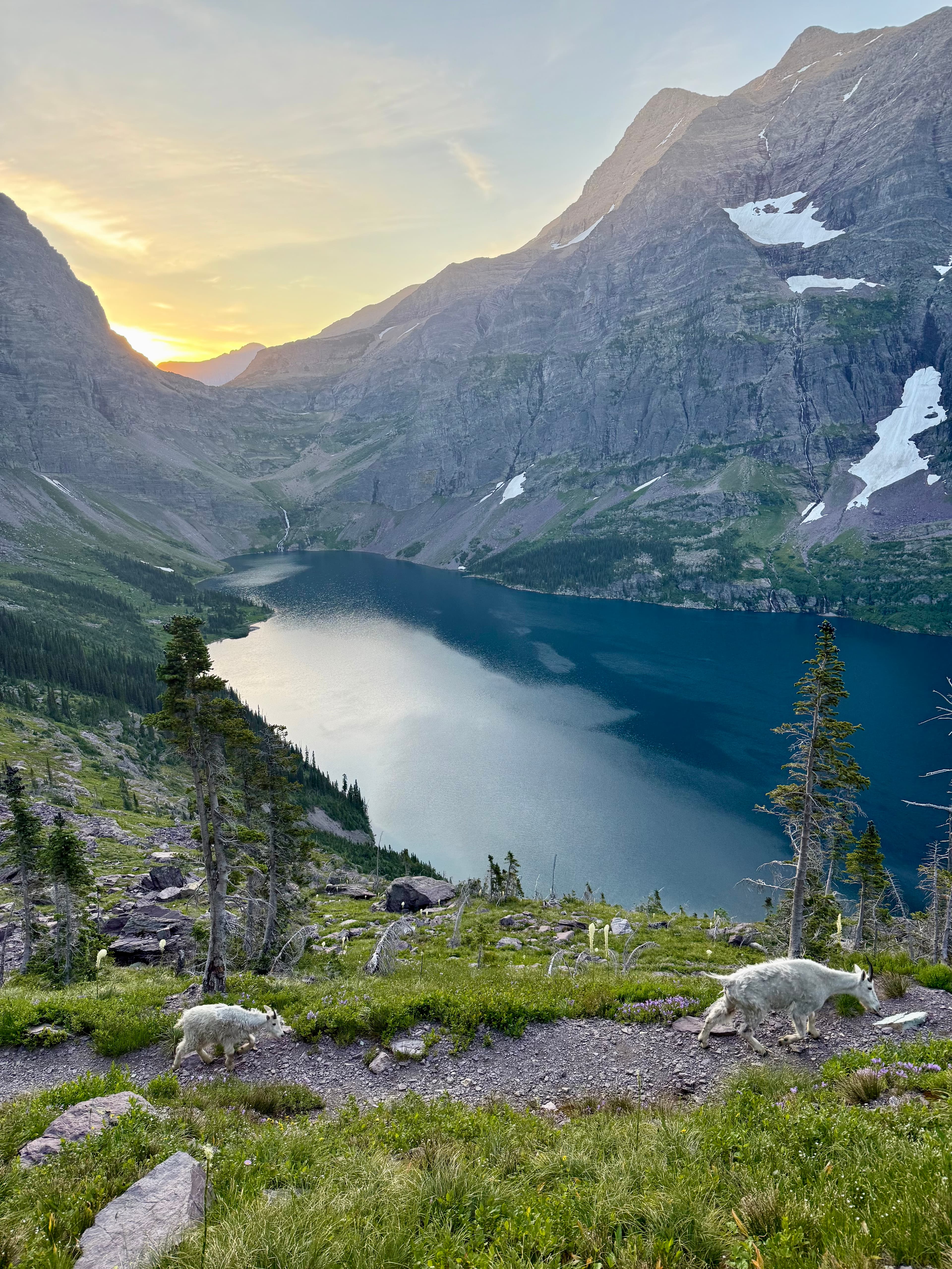 Lake Ellen Wilson